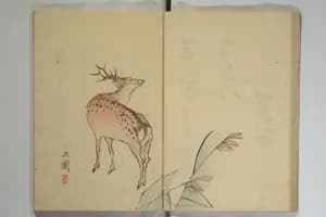 The Nanpo Album (Nanpo jō) 南畝帖