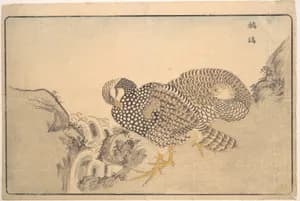 Zhe gu
