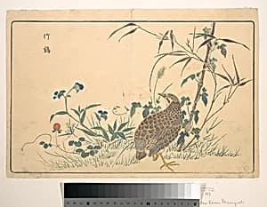 Zhu ji