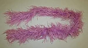 Boa by Unknown Artist