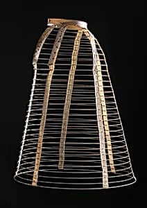 Cage crinoline by Unknown Artist