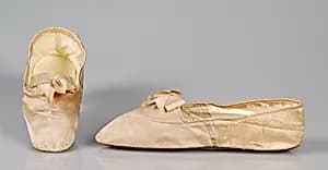 Evening slippers
