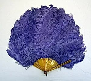 Fan by Unknown Artist