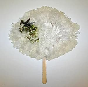 Fan by Unknown Artist