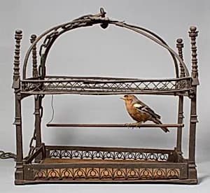 Birdcage by Unknown Artist