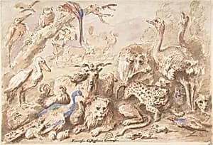 A Congress of Animals by Giovanni Francesco Castiglione