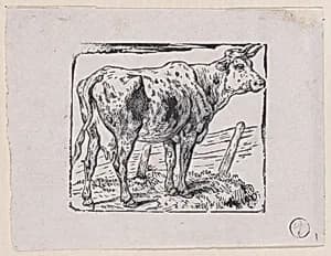A Cow by Charles Jacque
