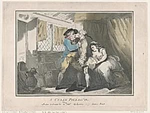 A Cully Pillag'd by Thomas Rowlandson