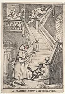 A Maiden Aunt Smelling Fire by Thomas Rowlandson