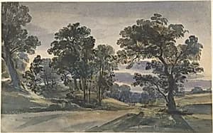 A Parkland View at Dusk
