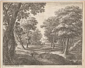 A Path Through the Woods by Anthonie Waterloo