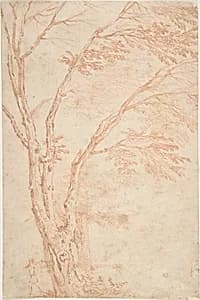 A tree and figure by Anonymous, French, 18th century|Claude Lorrain (Claude Gellée)