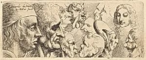 A variety of heads by Leonardo da Vinci|Wenceslaus Hollar