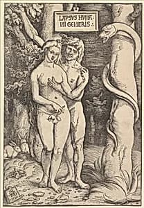 Adam and Eve by Hans Baldung (called Hans Baldung Grien)