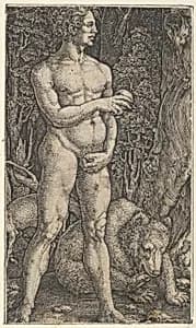 Adam with a Bear by Heinrich Aldegrever
