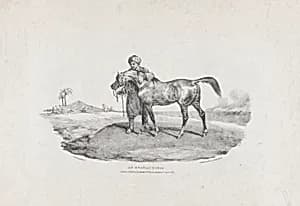 An Arabian Horse by Rodwell & Martin|Charles Joseph Hullmandel|Théodore Gericault
