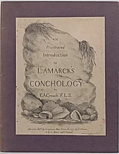 An Illustrated Introduction to Lamarck's Conchology; Contained in His Histoire Naturelle des Animaux Sans Vertèbres: Being a Literal Translation of the Descriptions of the Recent and Fossil Genera. by Jean Baptiste Lamarck|Edmund A. Crouch|John Mawe|William McDowall|William Day|Longman, Rees, Orme, Brown and Green
