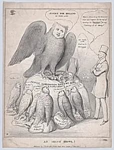 An Irish Howl [Owl]! by John Doyle|Arthur Wellesley, 1st Duke of Wellington|I. B. Brookes