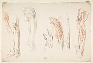 Anatomical Studies of Legs by Eugène Delacroix