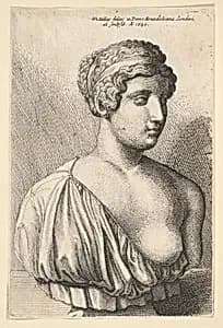 Antique bust of a woman by Wenceslaus Hollar
