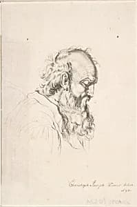 Bearded Man