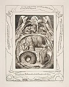 Behemoth and Leviathan