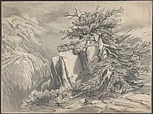 Broken Tree in Moutainous Landscape by Alexandre Calame