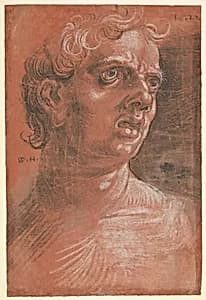 Bust of a Man by Wolfgang Huber