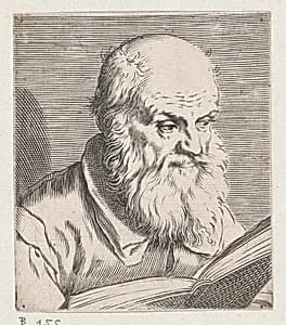 Bust of an Old Man
