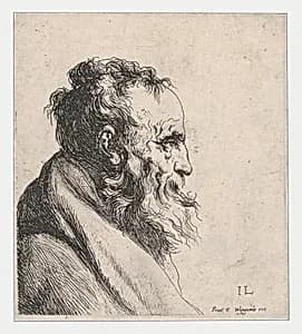 Bust of an Old Man by Jan Lievens