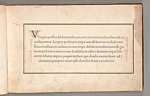 Calligraphic Exercise in Latin by Anonymous