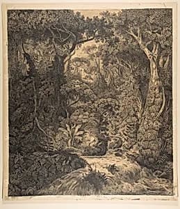 Ceylonese Jungle by Hermann von Königsbrunn