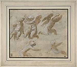 Cherubs