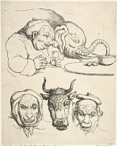 Comparative Anatomy by Thomas Rowlandson