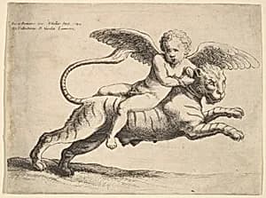 Cupid on a tiger by Wenceslaus Hollar|Giulio Romano