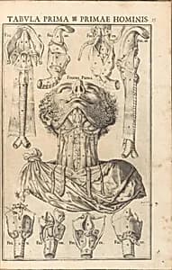 Portrait of Giulio Casserio (Casserius)