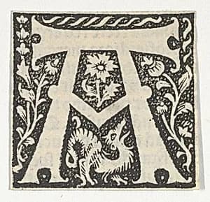 Decorated Roman alphabet
