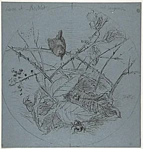 Design for a Plate