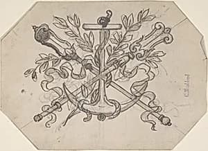 Devise with Anchor