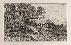 Dutch Cows