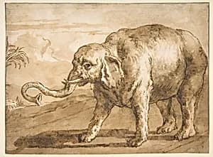 Elephant in a Landscape by Giovanni Domenico Tiepolo