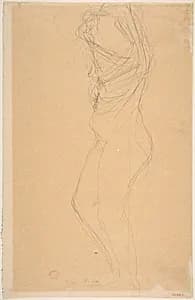 Figure Disrobing