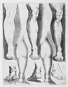 Five Legs and Three Feet by Luca Ciamberlano|Agostino Carracci