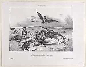 France Delivered to the Crows by J. J. Grandville|Eugène Forest|Delaporte