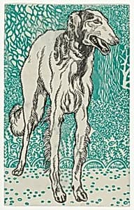 Greyhound