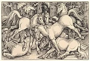 Group of Seven Horses by Hans Baldung (called Hans Baldung Grien)