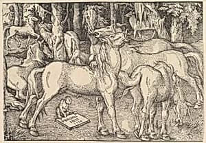 Group of Seven Horses by Hans Baldung (called Hans Baldung Grien)