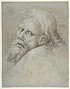 Head of a Bearded Man by Hans Hoffmann