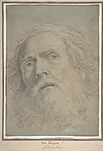 Head of a Bearded Man by Domenichino (Domenico Zampieri)