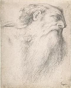 Head of a Bearded Man by Lorenzo Lotto